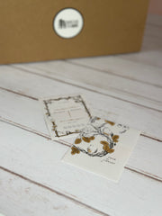 Book Box for Change June 2025 (Pre-Order)