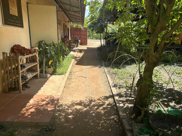 Pathway Renovation