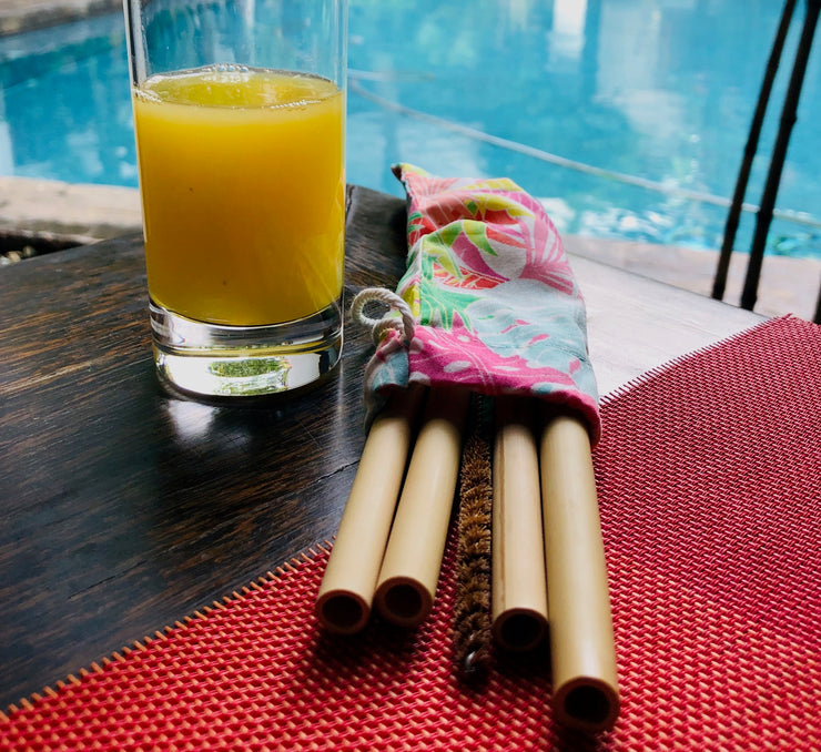 Bamboo Straws in Pouch